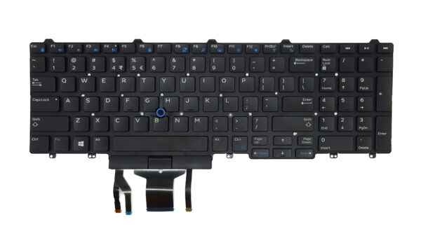 383D7_1.jpg